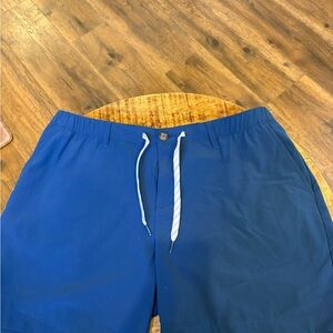 Chubbies Athletic Shorts in Royal Blue
